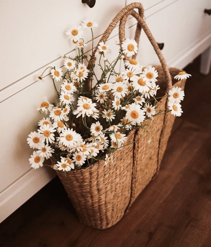 •. ✶ 𝐚𝐬𝐦𝐚𝐫𝐚. 🐻 tweet media