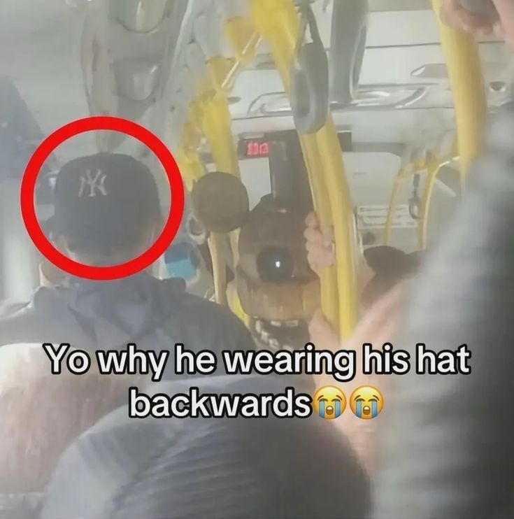 dinosaur tweet media