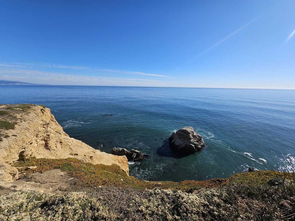 Roman Legatus tweet media