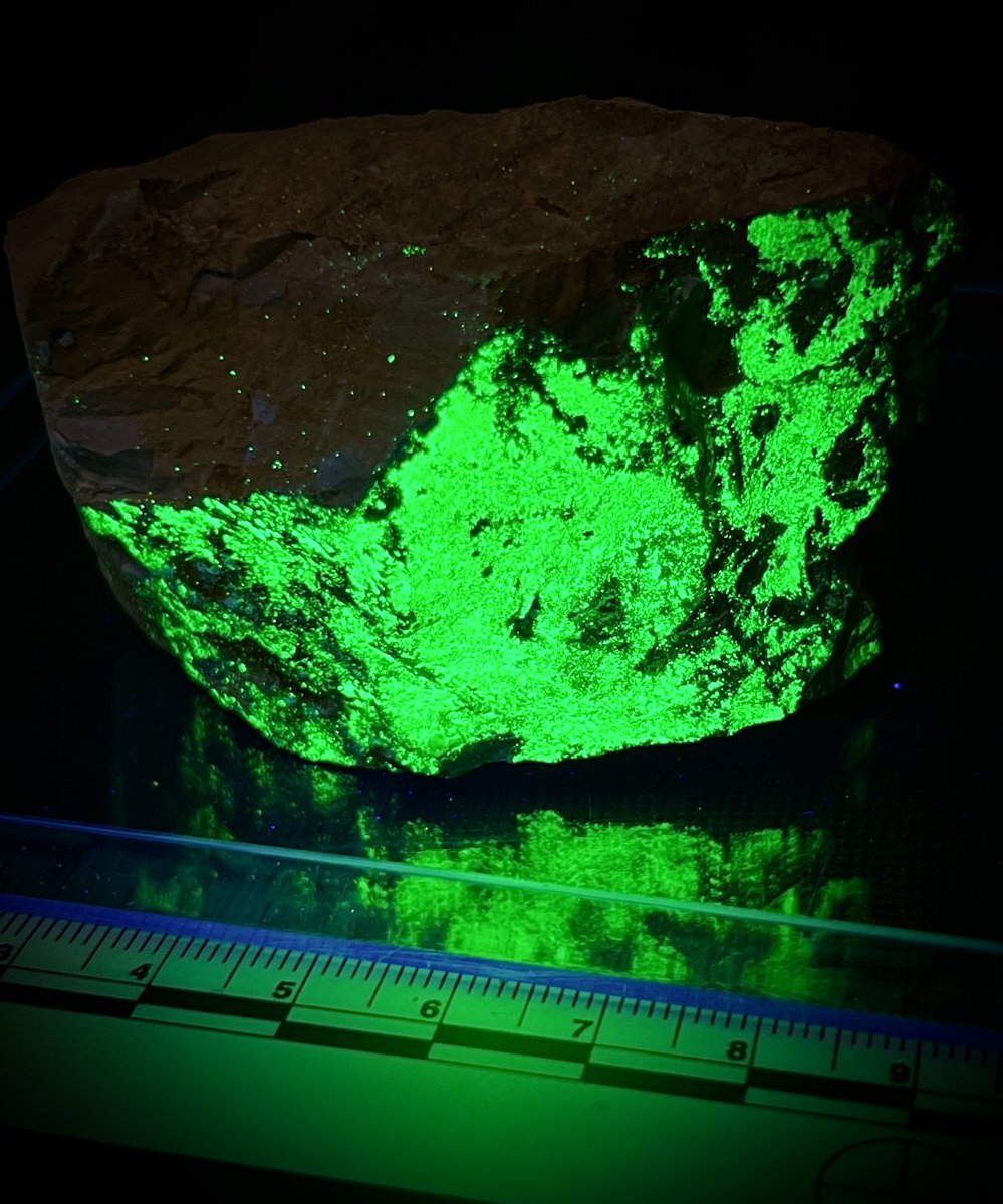 Radioactive Red tweet media