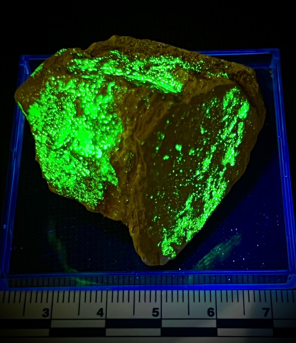 Radioactive Red tweet media