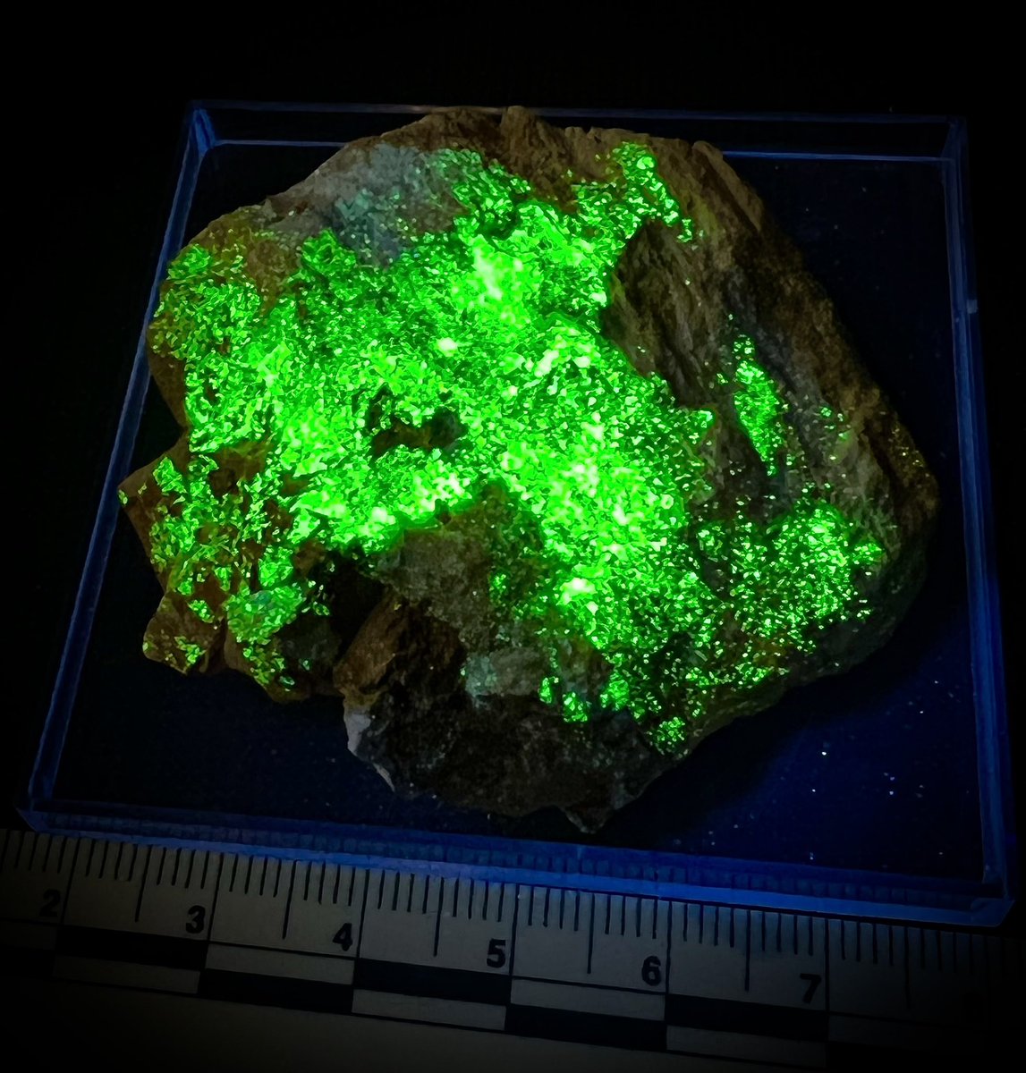 Radioactive Red tweet media