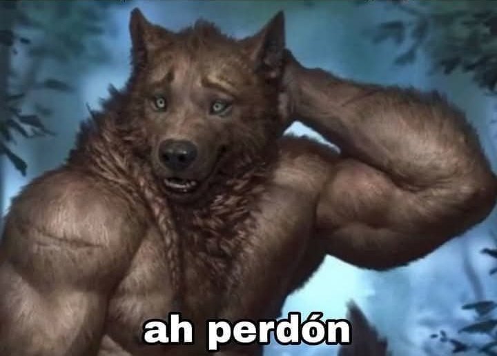 Moises Luque tweet media