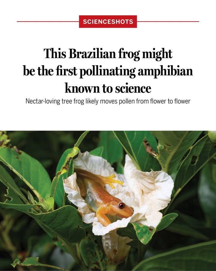 Science Magazine tweet media