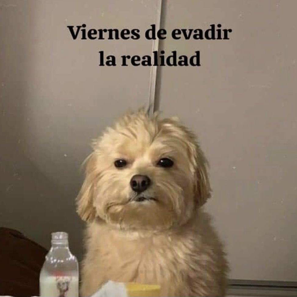 En Júpiter (@en_jupiter_) on Twitter photo 