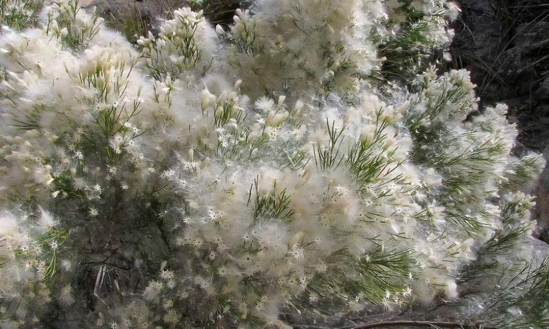 𝖍𝖎𝖗𝖔𝖍𝖎𝖗𝖔 tweet media