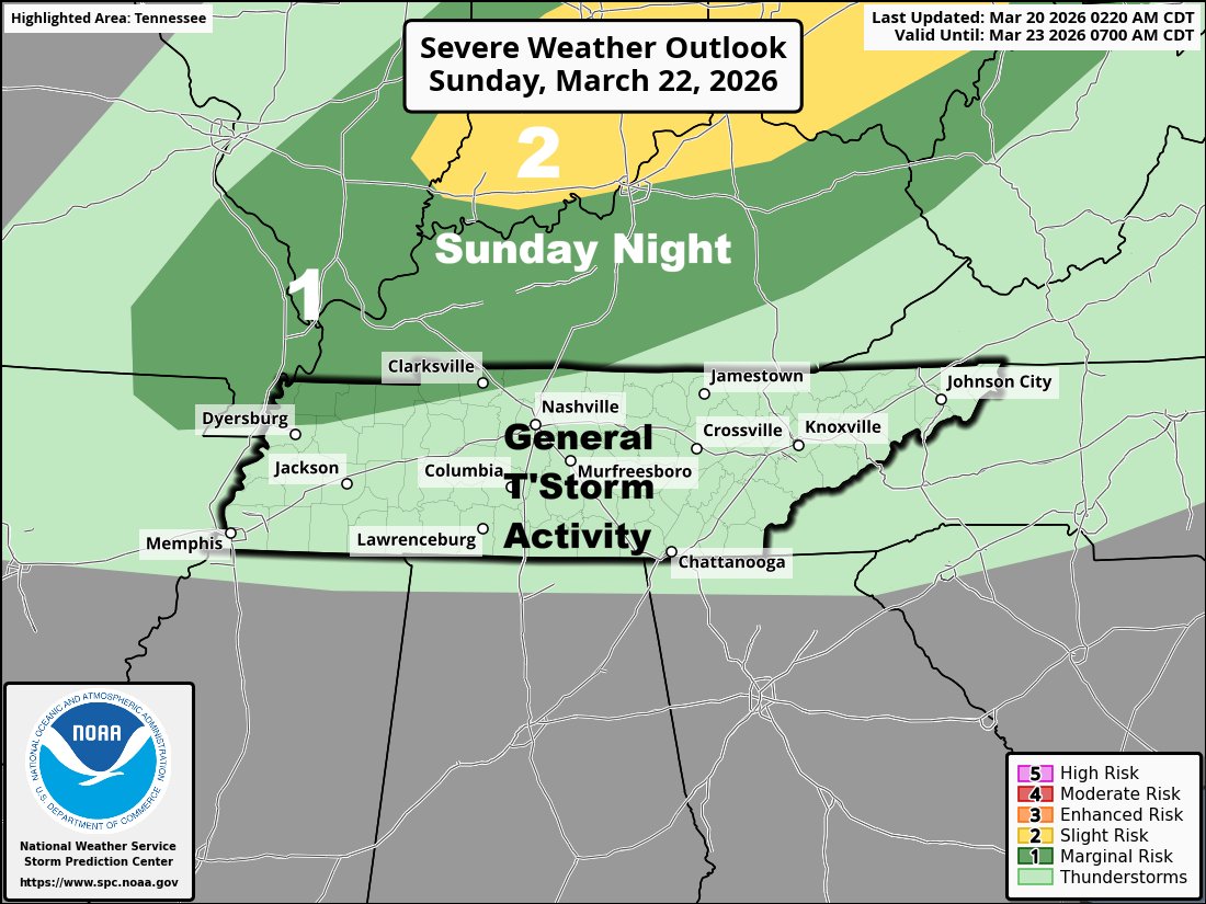 Davis Nolan tweet media