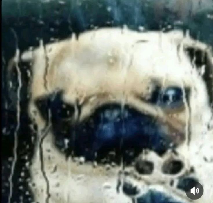 uzayasya tweet media