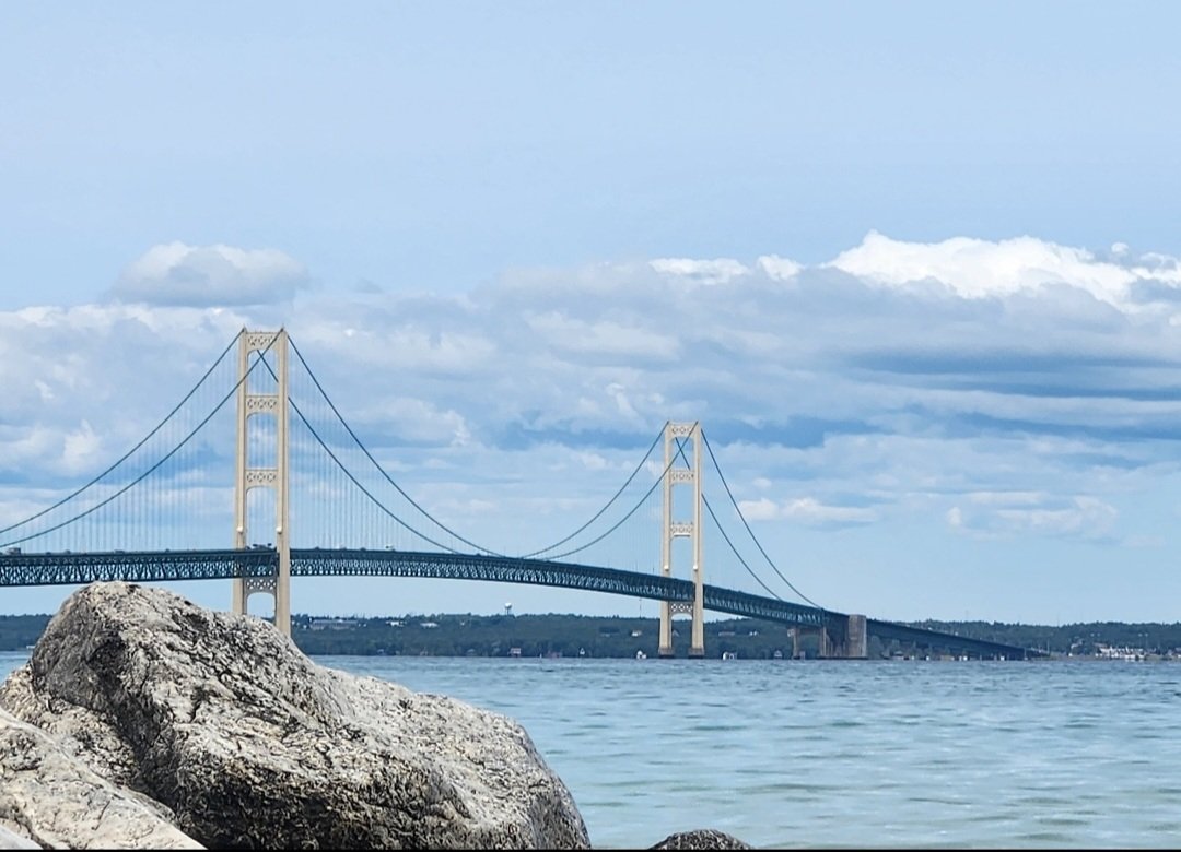 Mama Scar tweet media