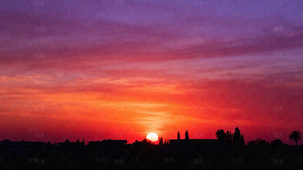 Maryam Awad tweet media