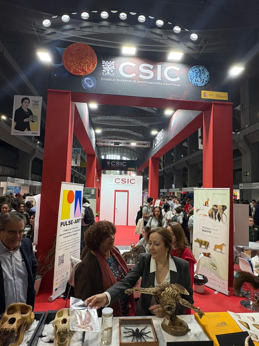 Eloísa del Pino tweet media