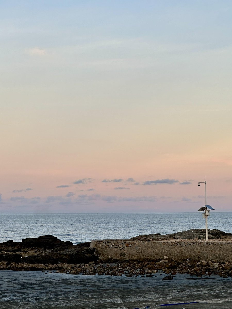 LOYAL路遥 tweet media