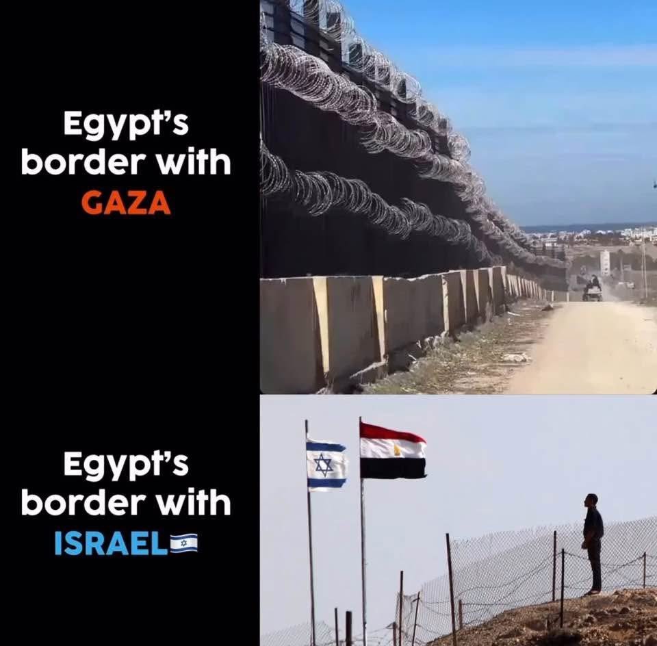 WT Fmerica tweet media