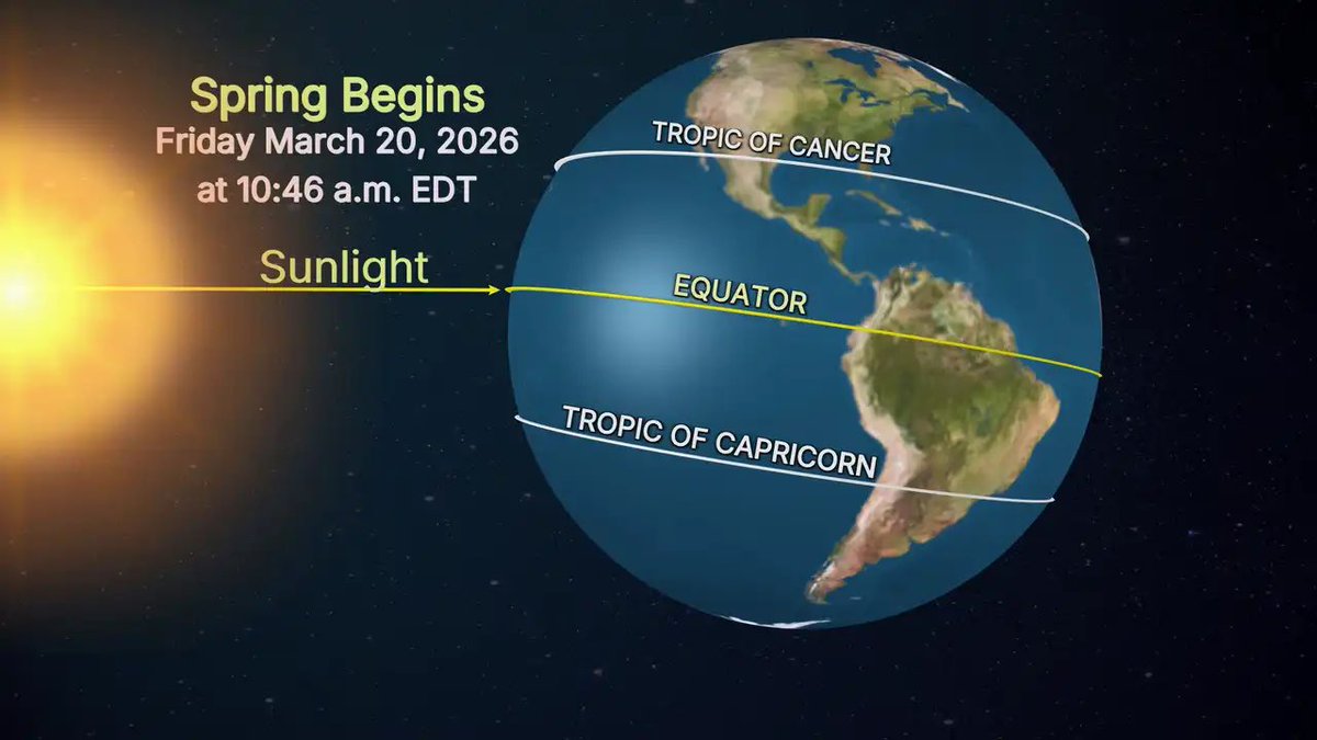 Chuck Cox tweet media