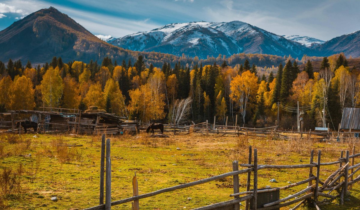 Lú Swallow tweet media