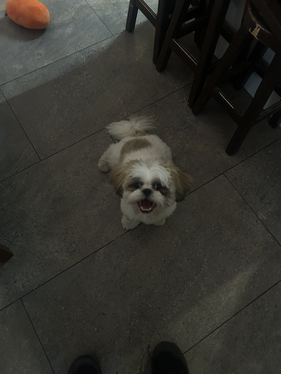 Seb D. Morgan tweet media