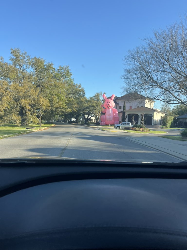 #ZolaPaw⚜️ tweet media