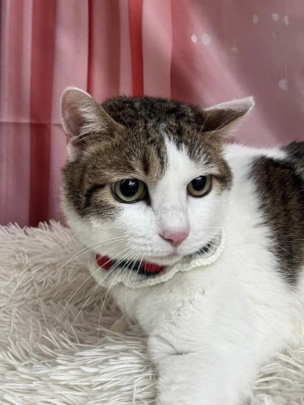 수목이 tweet media