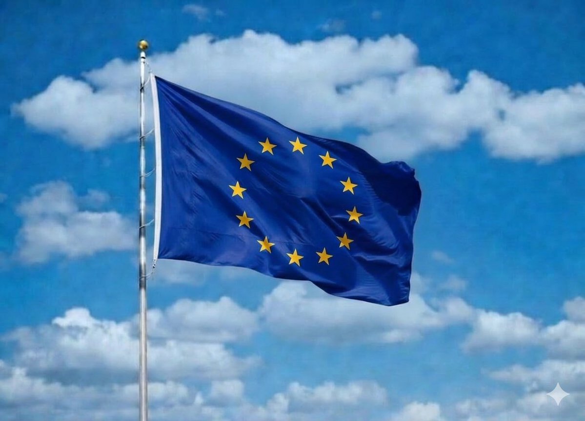 DeFi Scope tweet media