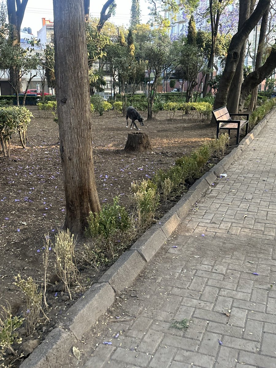 Alejandra Castro tweet media