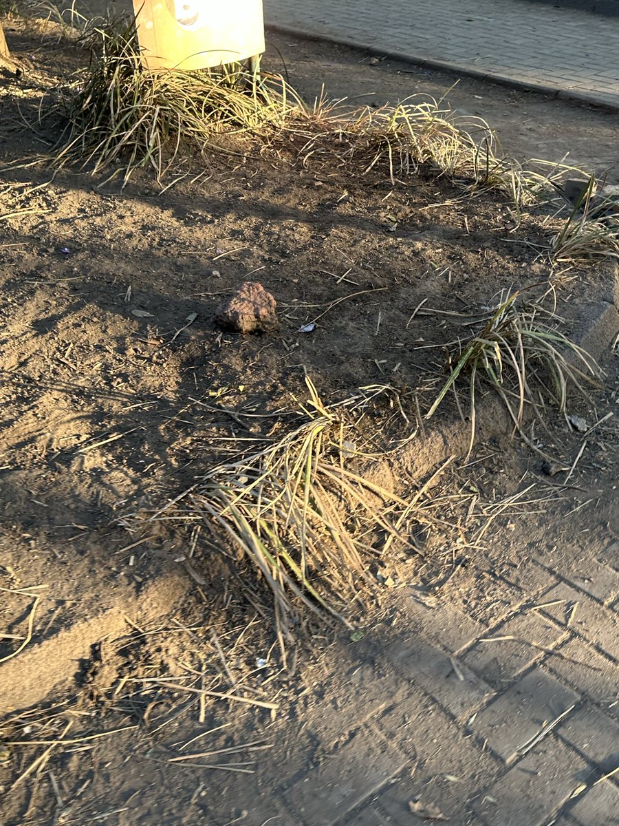 Alejandra Castro tweet media