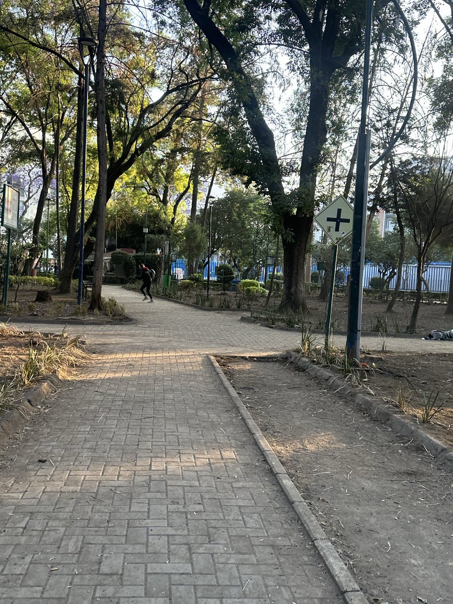 Alejandra Castro tweet media