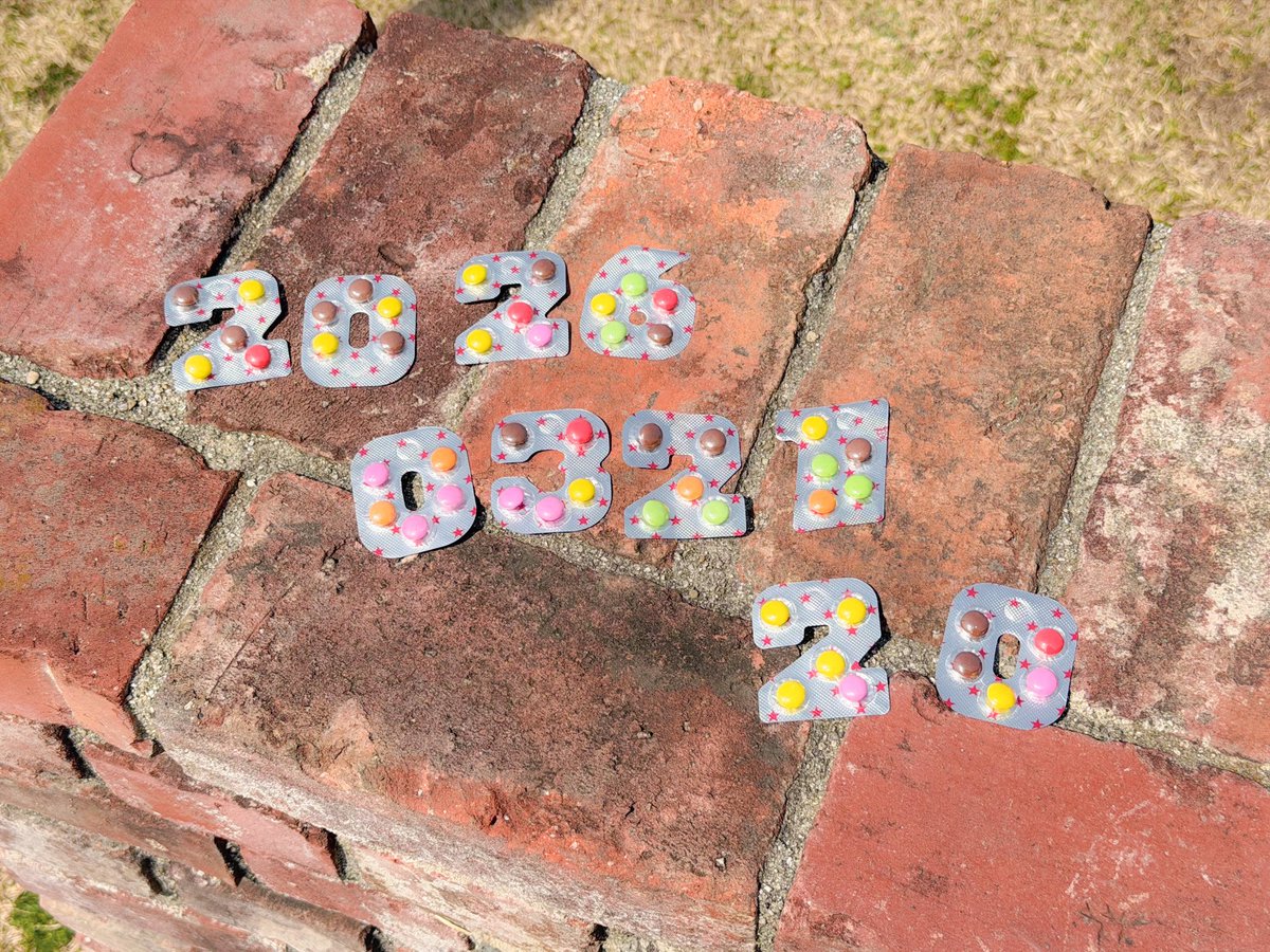 ≠Sarah tweet media