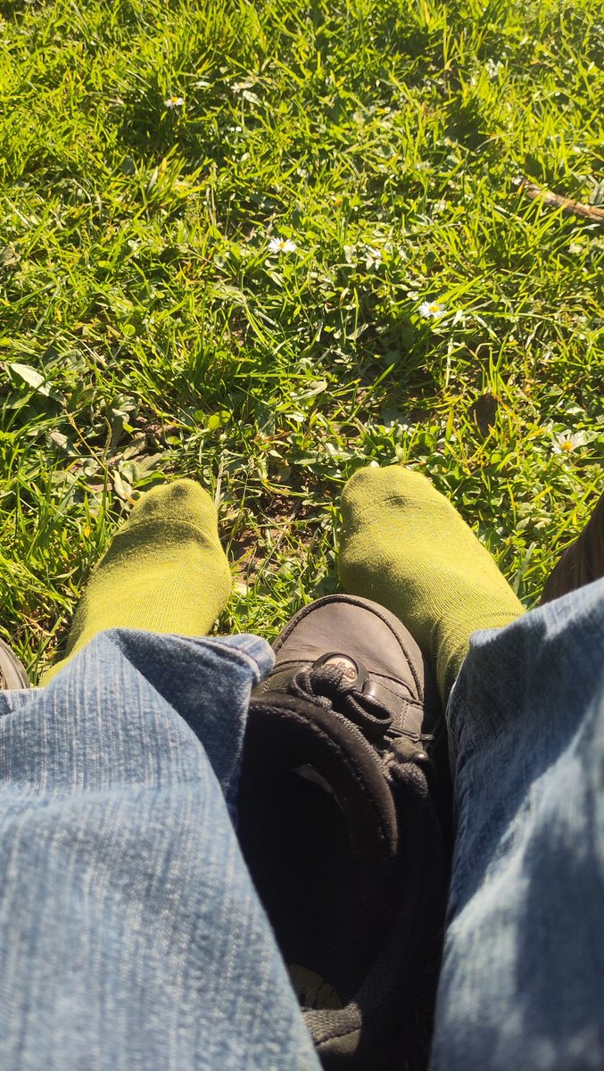 ☽︎⋆ 𝑫𝒂𝒎𝒆 𝑪𝒚𝒂𝒏𝒖𝒓𝒆 ⋆☾︎ tweet media