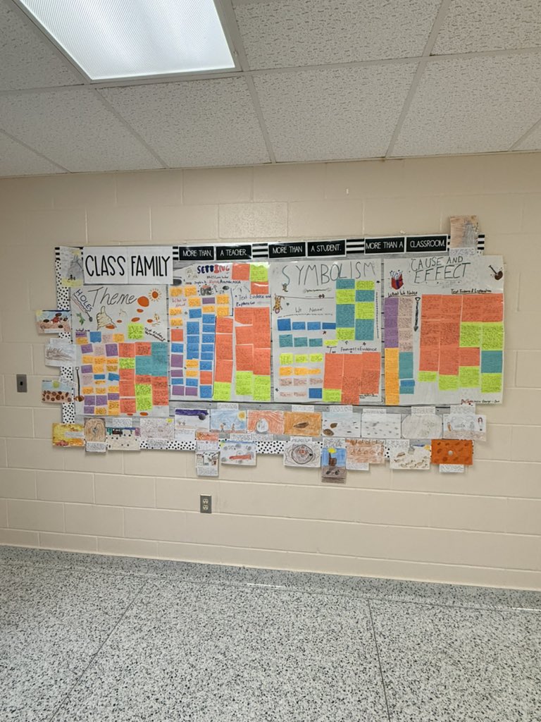 Robin Bayer tweet media