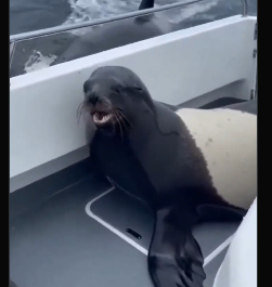 Cockroach 🐡 tweet media