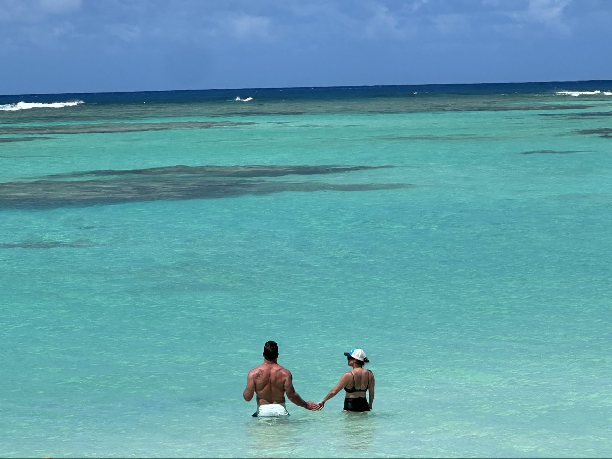 Tom McManus tweet media