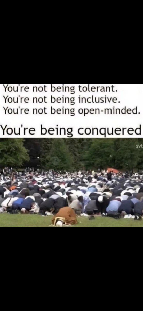 Fernando lusitano. tweet media