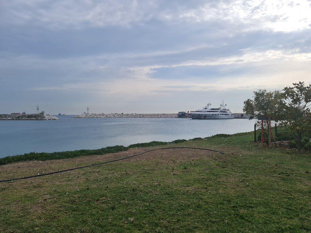 Zoso 🇺🇳(🇮🇶) tweet media