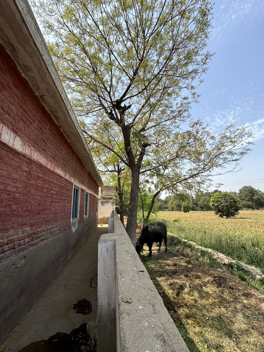 Two decades in power &amp; this is the outcome: broken schools, rising out-of-school children, and basic facilities missing. A glimpse from a govt school in Hyderabad; Sindh’s 2nd largest city, country’s 7th, reflects the broader challenges in public education. #EducationInSindh
