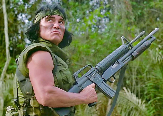 RetroCoast's tweet image. This photo has divided the #2A internet 
Let's settle it once and for all:  

Is it an M16-A1 or an M16-A2?