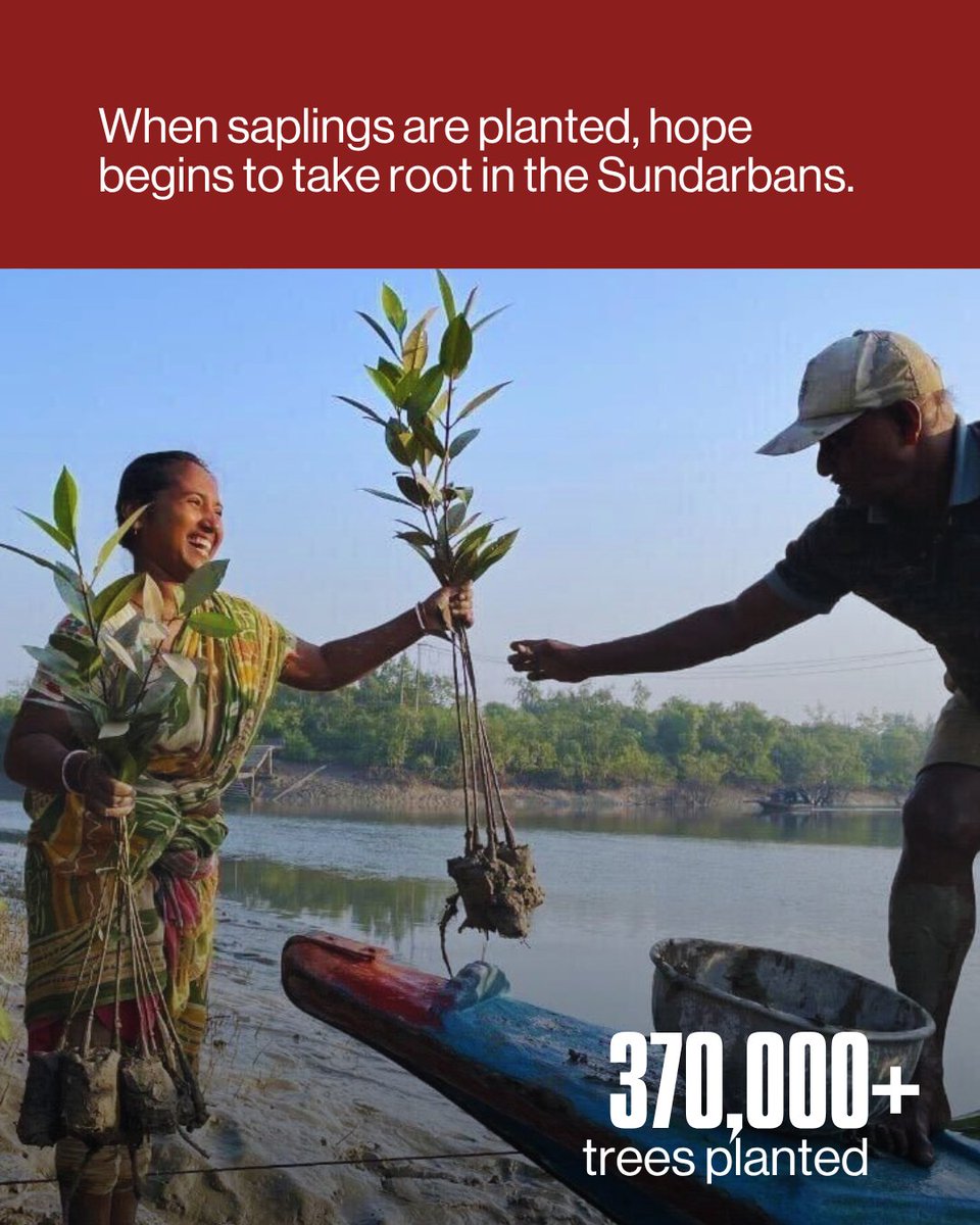 Go Dharmic tweet media