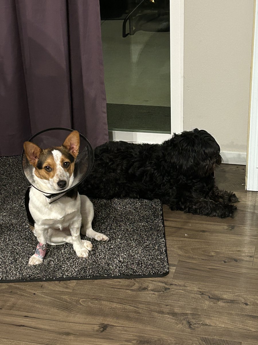 Stacy 😎 tweet media