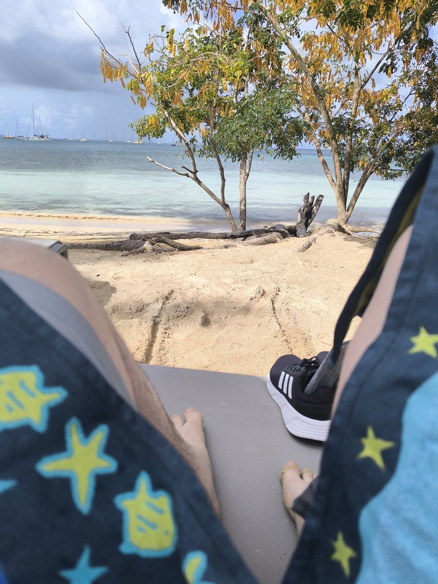 SebG 🌸🇫🇷 tweet media