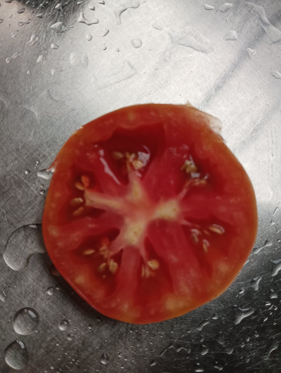 강민선 tweet media