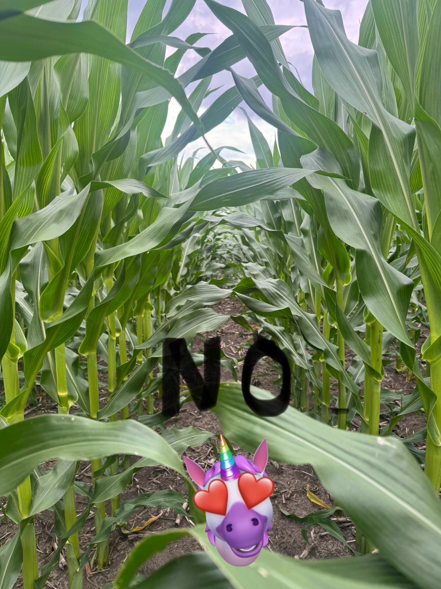 Zack Youngquist tweet media