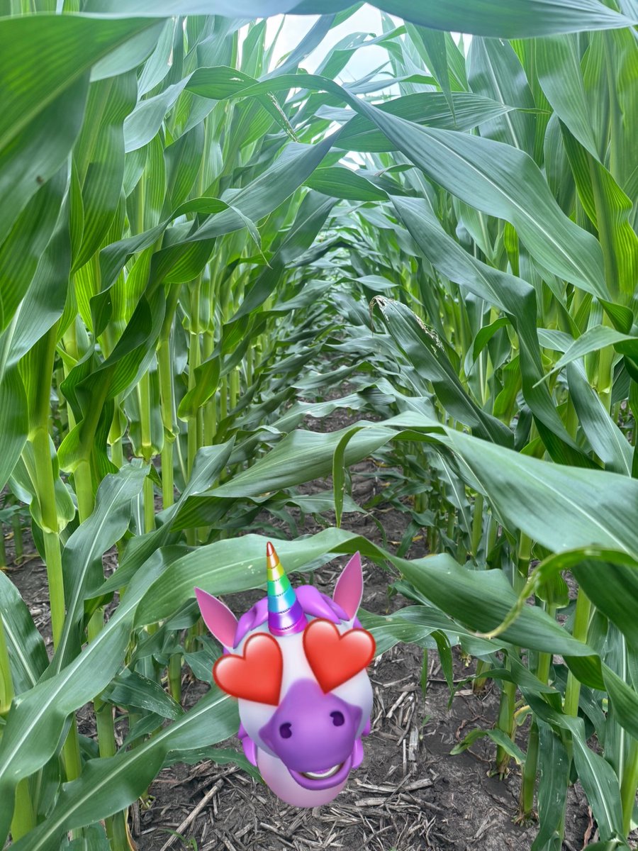 Zack Youngquist tweet media