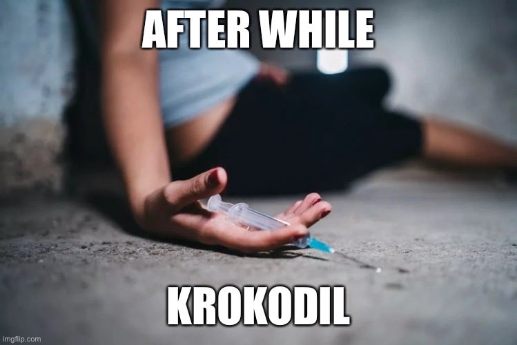 Aleks 🇨🇦🇺🇦🇷🇸 🌊🐶 tweet media