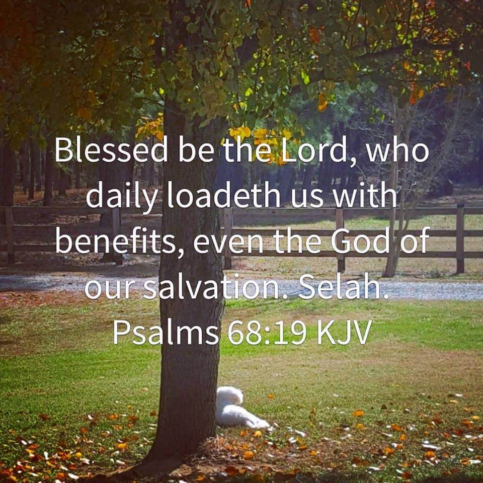 Evelyn Westfield tweet media