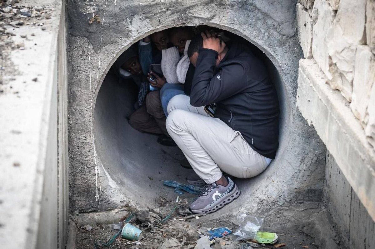 Jackson Hinkle 🇺🇸 tweet media