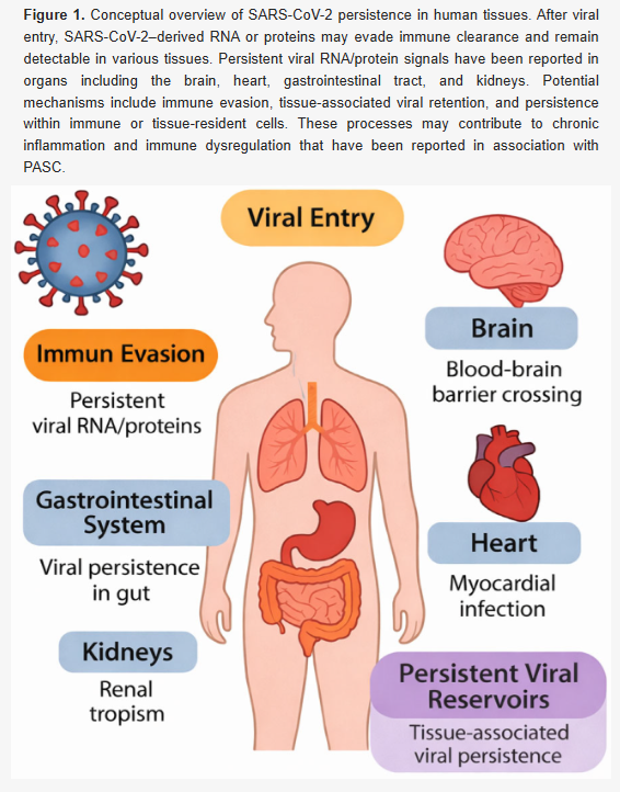 Harry Spoelstra tweet media