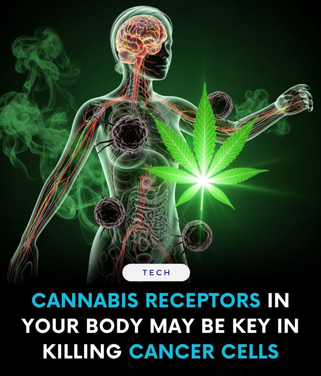 weedcoin tweet media