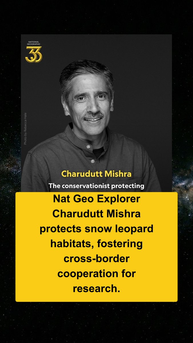 Bool News tweet media