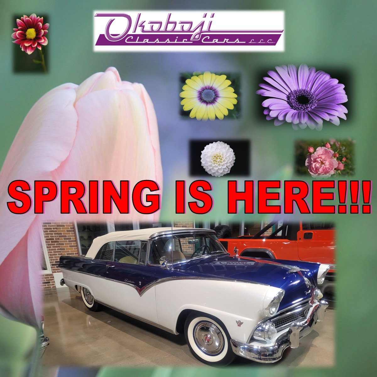 Enjoy the upcoming warm weather as Spring has begun to shine! This 1955 Ford Fairlane Sunliner will be great to let your hair blow in the wind. Give Okoboji Classic Cars, LLC  a call to find out all the details on this convertible, 712-332-8029 ext. 3.🌼🚗🌼🚗