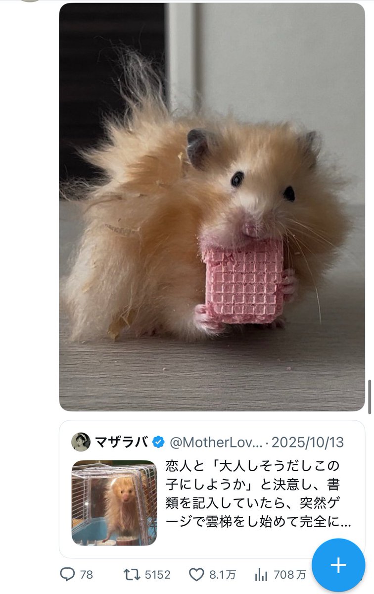 マザラバ tweet media
