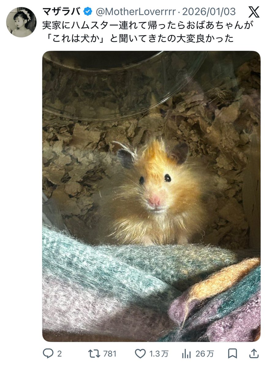 マザラバ tweet media